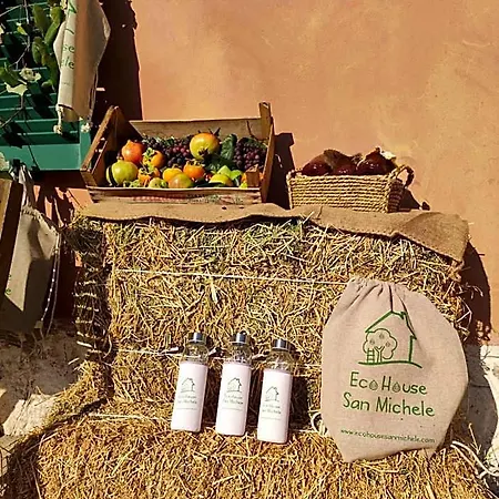 Eco House San Michele Auberge de jeunesse *